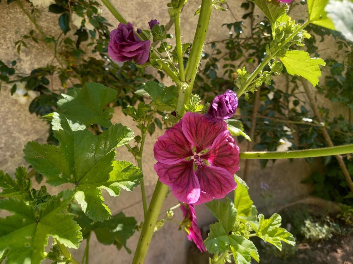 Maison Violette En Berry Aigurande Exteriér fotografie